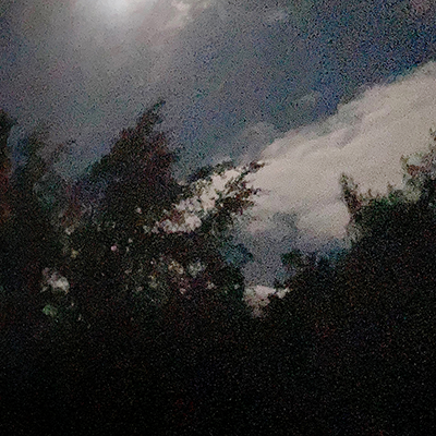 HUNTER'S MOON